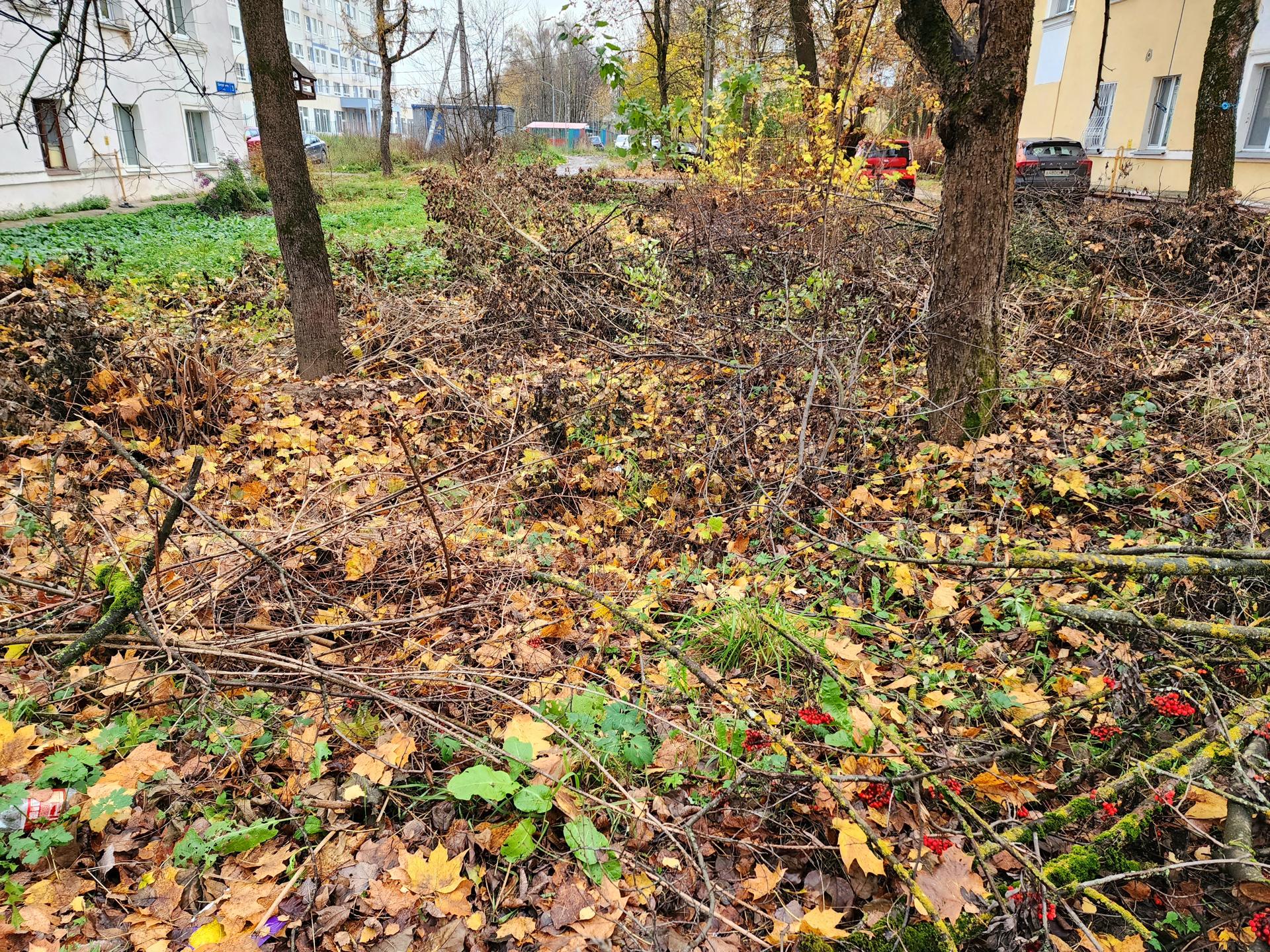 Фото: МедиаБанк Подмосковья/Юлия Унрау