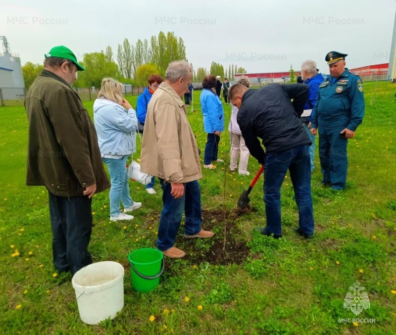 В честь 375-летия пожарной охраны сотрудники МЧС России высадили фруктовый сад