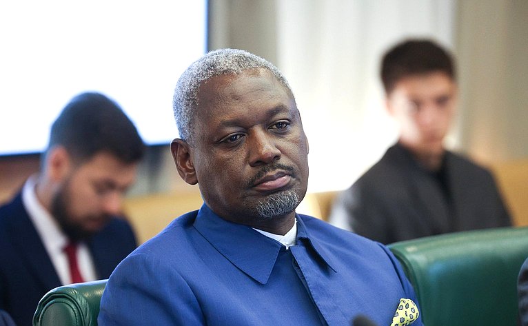 Встреча председателя Комитета СФ по международным делам Григория Карасина с заместителем Председателя Сената Республики Кения Катури Мурунги