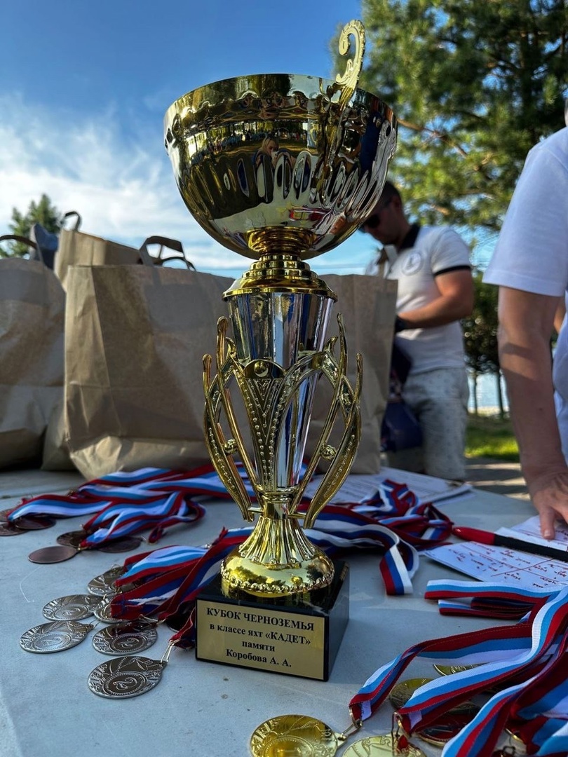 Спорт воронежской области