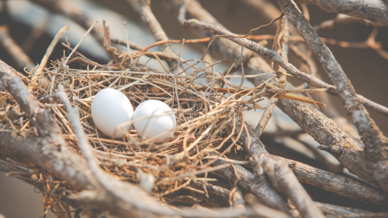 В Самарской области обнаружено антропогенное во...