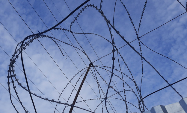 Житель Тужинского района получил 3 года за сбор конопли в поле