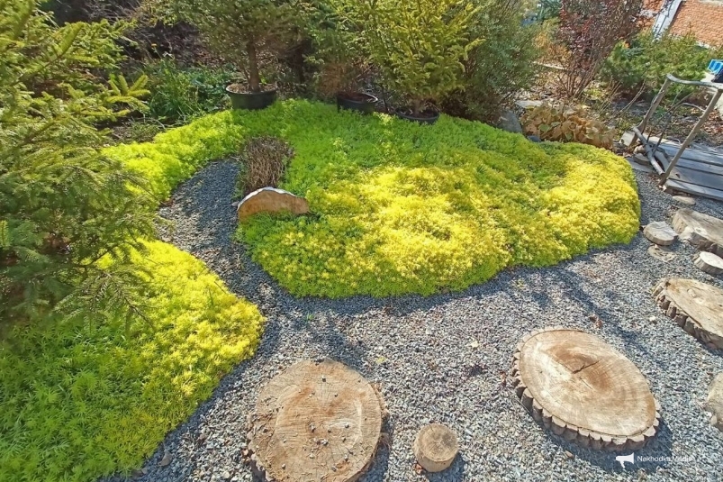 Ландшафтный дизайн Василий Тарасенко, ИА Nakhodka.Media