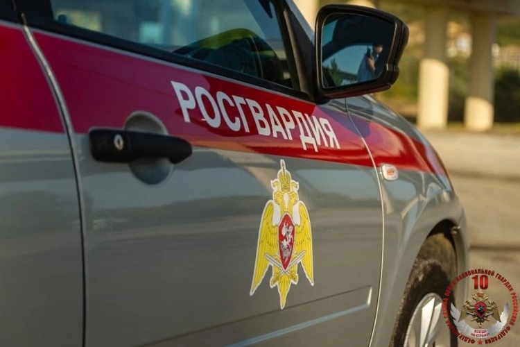 В Северодвинске наряд Росгвардии задержал архангелогородку, объявленную в федеральный розыск