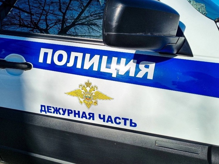 Подозреваемого в изнасиловании курганской школьницы поместили в психбольницу