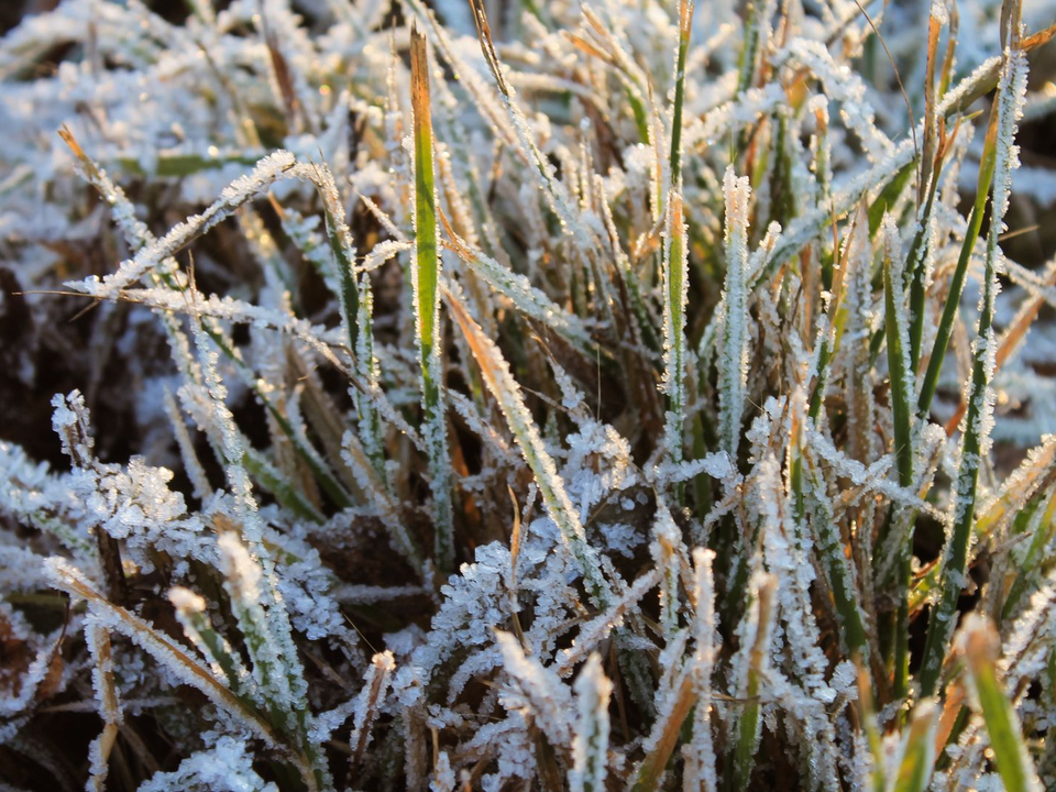 «Дубак» и до -15°C? Чего ждать от погоды в Подмосковье в середине декабря