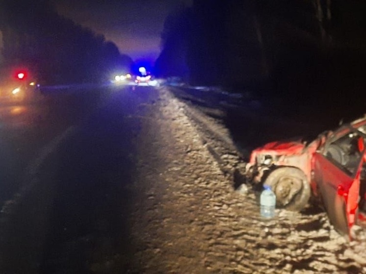 Пьяная водитель «Шкоды» устроила аварию возле Нижнего Тагила