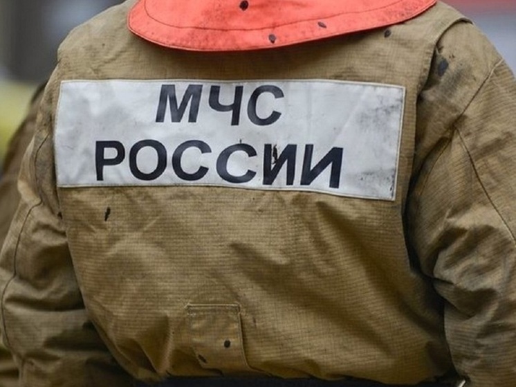 Лесной пожар потушили в Курганской области