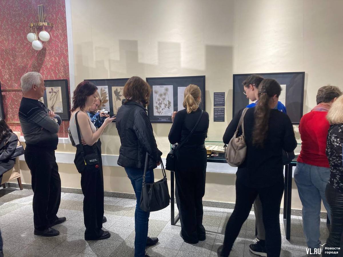 выставка лекция