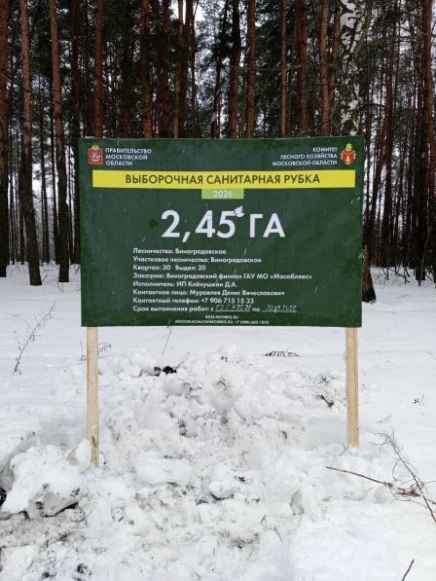 В Воскресенске приступили к выполнению санитарно-оздоровительных мероприятий