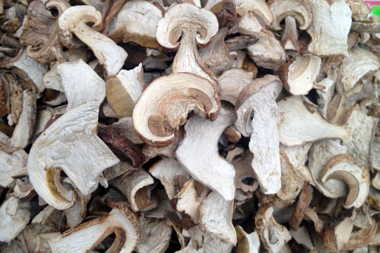 высушенные грибы как пишется. грибы целиком. сушка грибов в лесу. сушеные грибы на белом фоне. высушенные грибы как пишется.