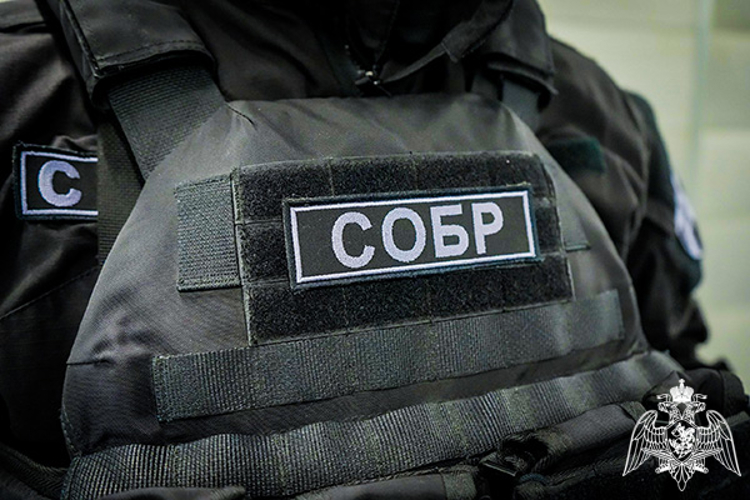 При содействии спецназа Росгвардии задержаны подозреваемые в ограблении пожилого мужчины в Подмосковье (видео)