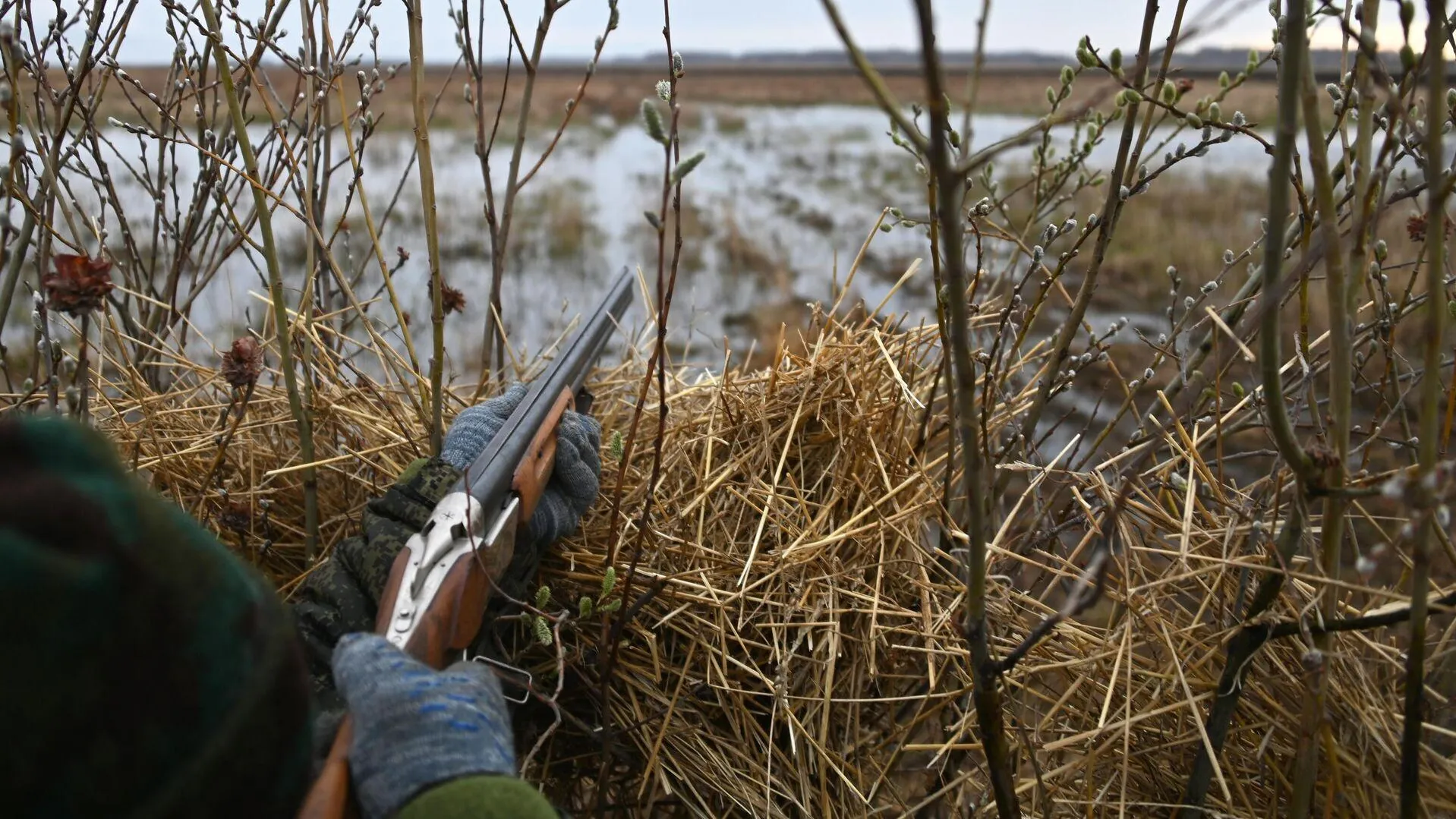 Открытие охоты в нижегородской области 2024 весенней. Охота на водоплавающую дичь 2020. Весенняя охота на селезня с живой подсадной. Охота на водоплавающую дичь 2022. Весенняя охота с подсадной уткой в Омской области.