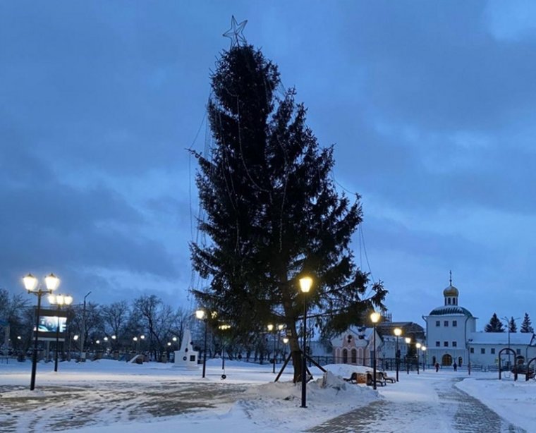 Ветром склонило елку на площади