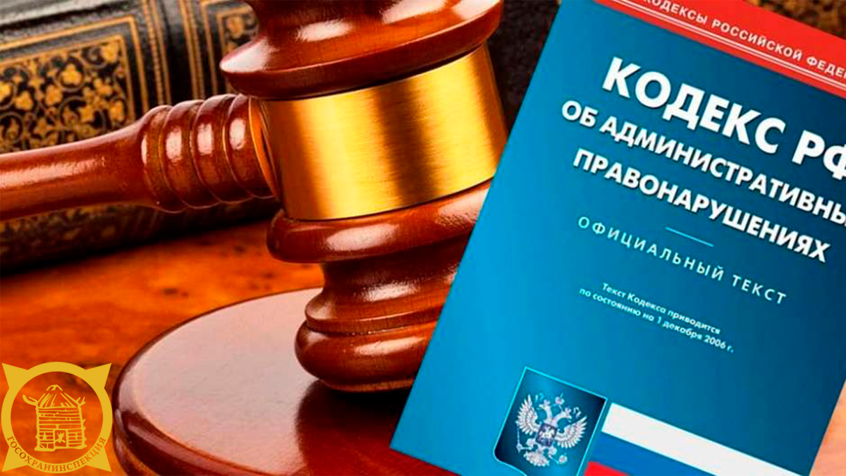 Нарушение правового законодательства. Административное право. Привлечен к административной ответственности. Административная ответственность фото. Административное право административная ответственность рисунок.