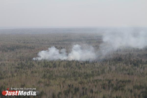 В Свердловской области официально завершился пожароопасный сезон - Фото 1