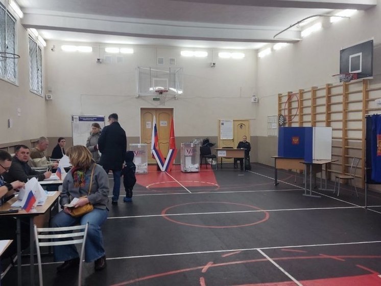 Депутаты Петербурга оценили атмосферу на избирательных участках