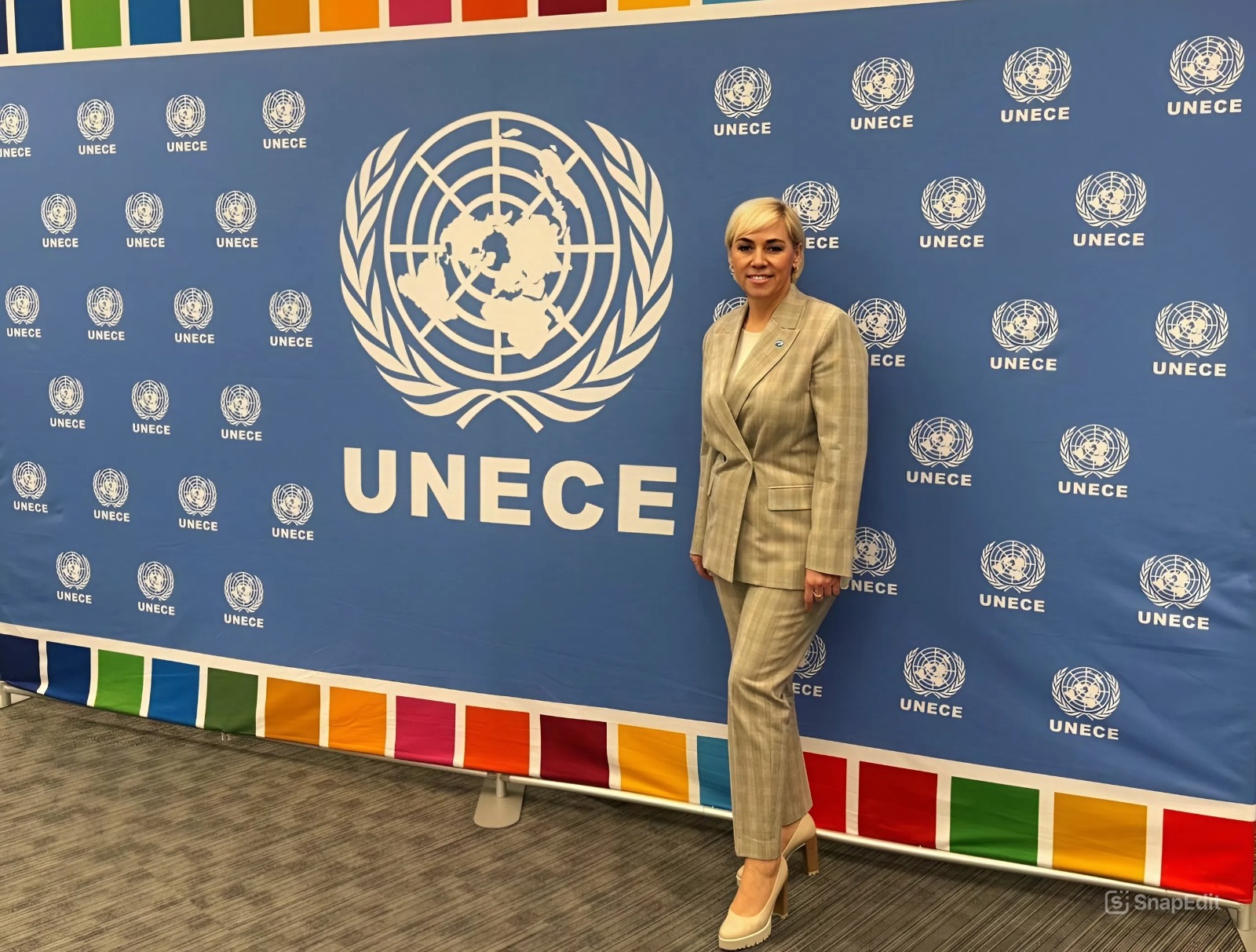 Татьяна Громова представила возможности НСПД на сессии Комитета Европейской экономической комиссии ООН