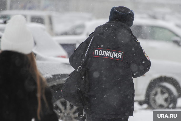 Снегопад. Челябинск, пешеход, зима, буран, вьюга, погода, непогода, полиция, снегопад, климат, февраль