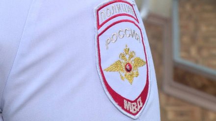 Волгоградец ответит в суде за пьяное нападение на полицейского на воронежской ж/д станции