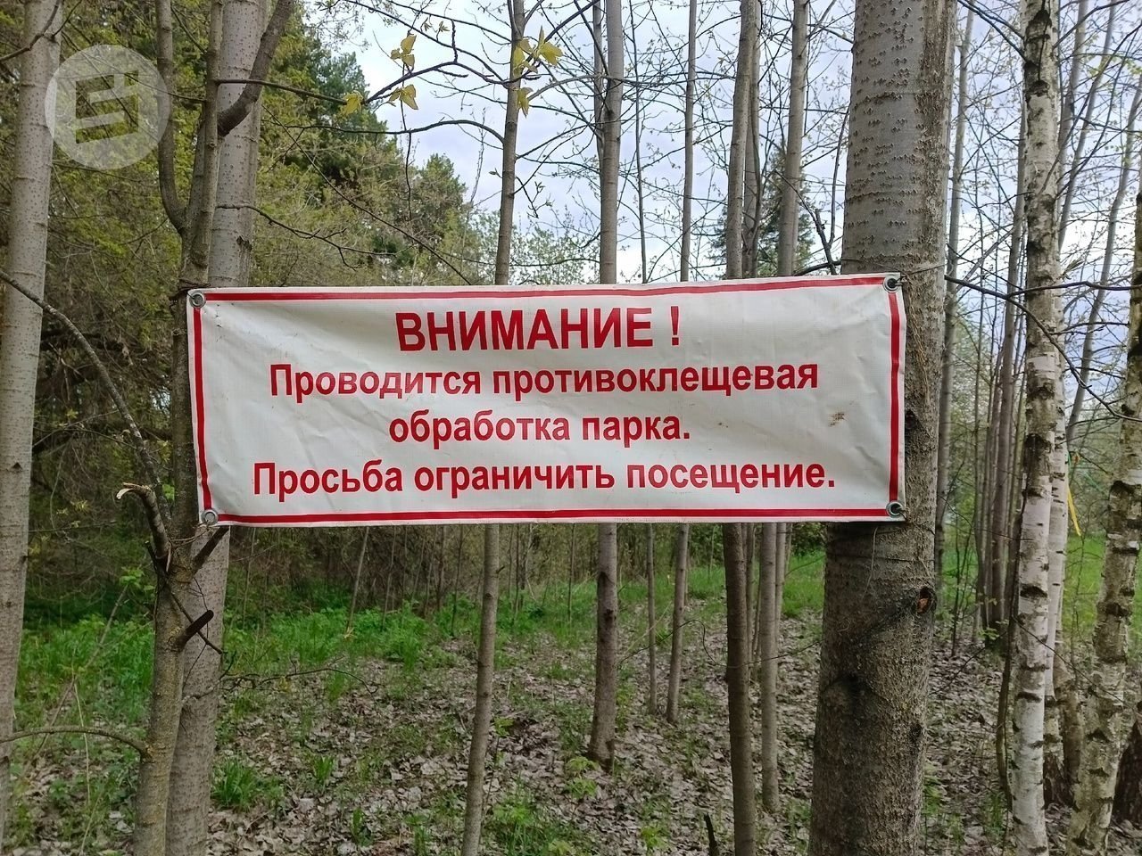 Более тысячи человек пострадали от укусов клещей в Удмуртии с начала сезона 