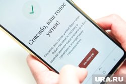 Николаев проголосовал дистанционно 