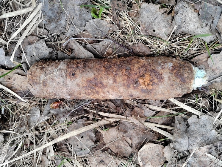 Арсенал взрывоопасных предметов найден в деревне Калужской области