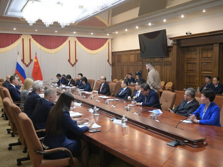 Губернатор Хабаровского края обсудил с делегатами из КНР освоение острова Большой Уссурийский