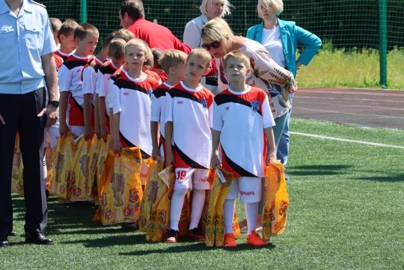 Море спорта городецкий район
