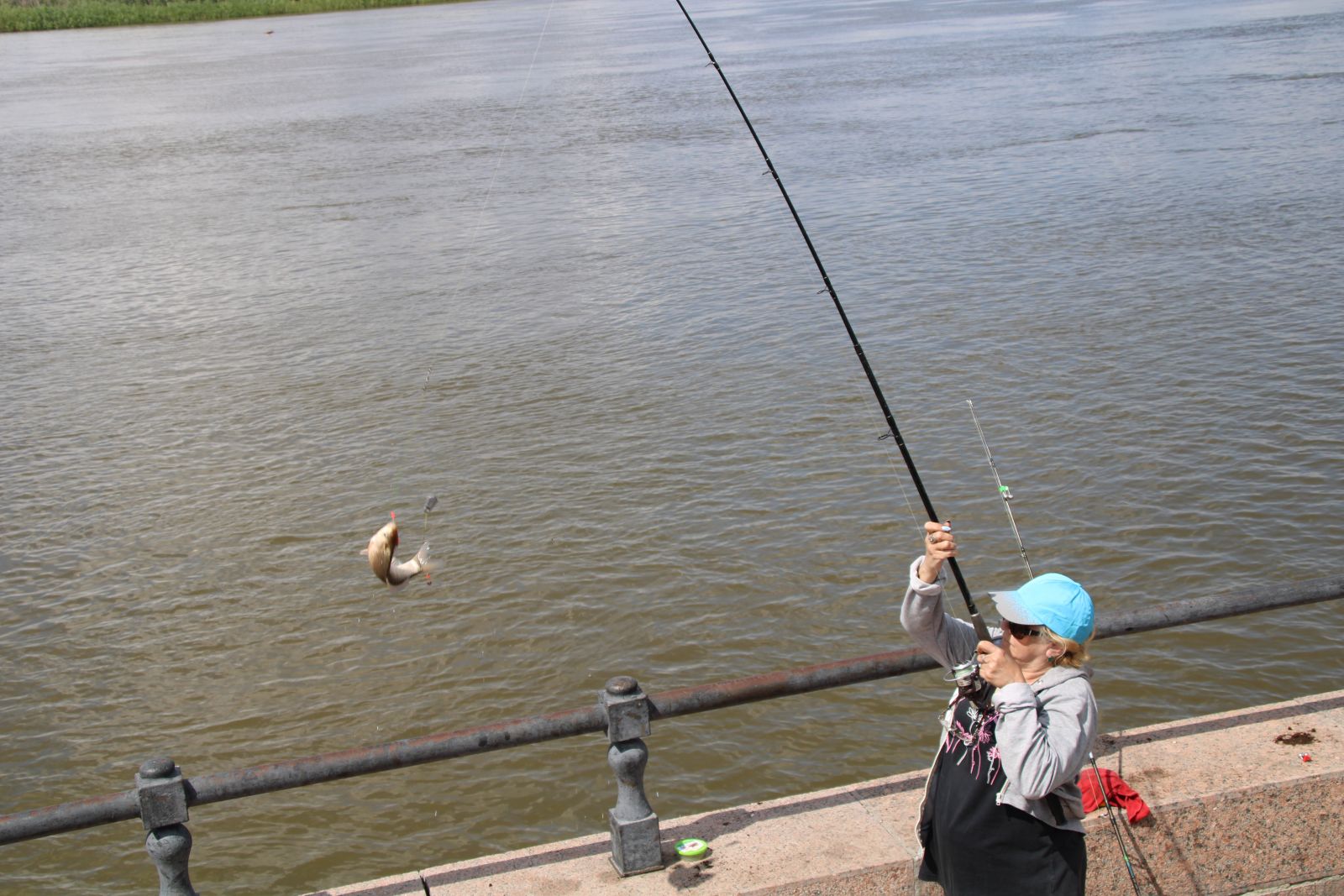 Астрахань выходные. День рыбака Астрахань. Какая рыба ловится в Астрахани. Сегодня в Ростове человек снимал на камеру рыбаков на набережной.