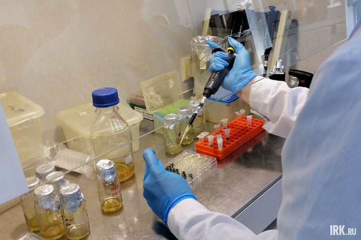 Сотрудник НИИ за работой. Фото Ольги Фонарёвой, IRK.ru