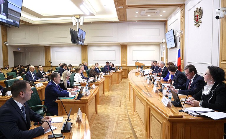 Заседание Комитета Совета Федерации по бюджету и финансовым рынкам