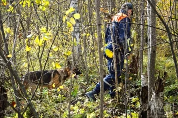 Фото: В Башкирии нашли погибшим подростка, пропавшего в мае по пути на экзамены 1