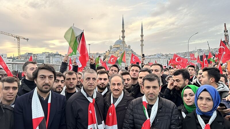 Четверть миллиона человек приняли участие в марше солидарности с жителями Газы в Стамбуле