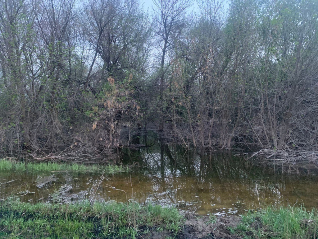 Астраханец получил 2 года колонии из-за утонувшей по его вине женщины