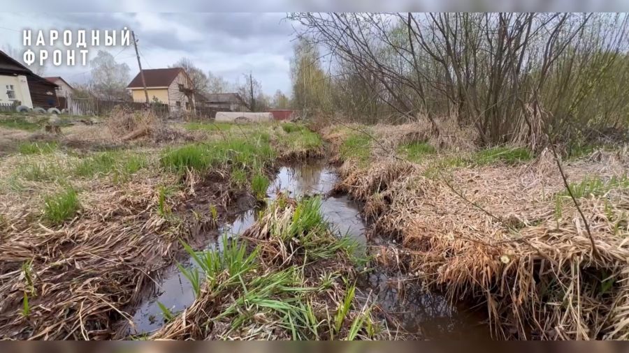 В Ярославле молодой семье выдали участок земли на болоте