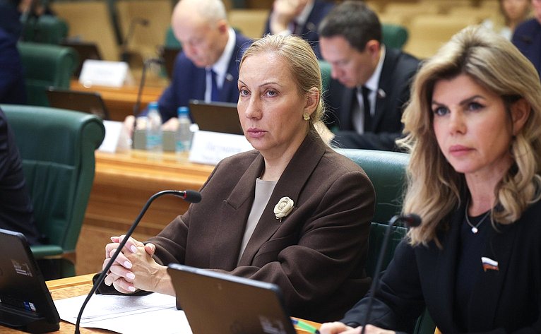 Расширенное заседание Комитета Совета Федерации по бюджету и финансовым рынкам