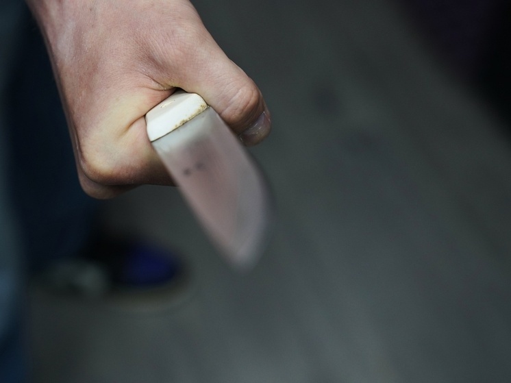 Тульские судебные приставы за две недели пресекли четыре попытки проноса оружия