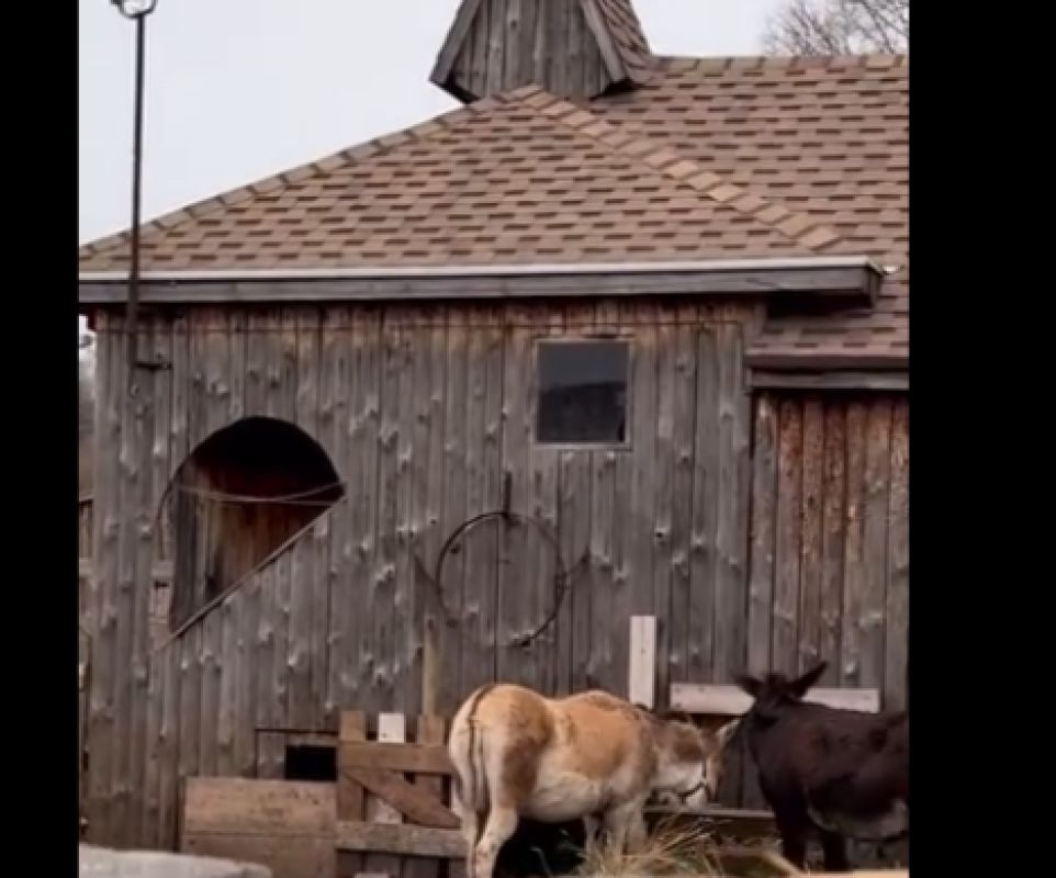 КаспийИнфо. Новости Астрахани и региона