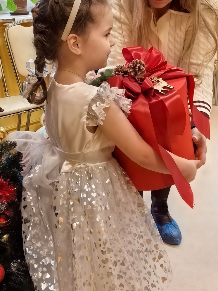 Чудо под Новый год: председатель Псковского областного суда исполнил заветное желание ребенка