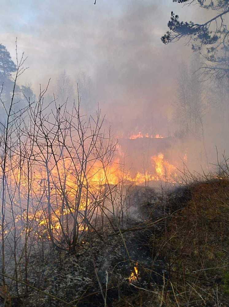 В Бурятии вновь тушили три пожара по вине человека