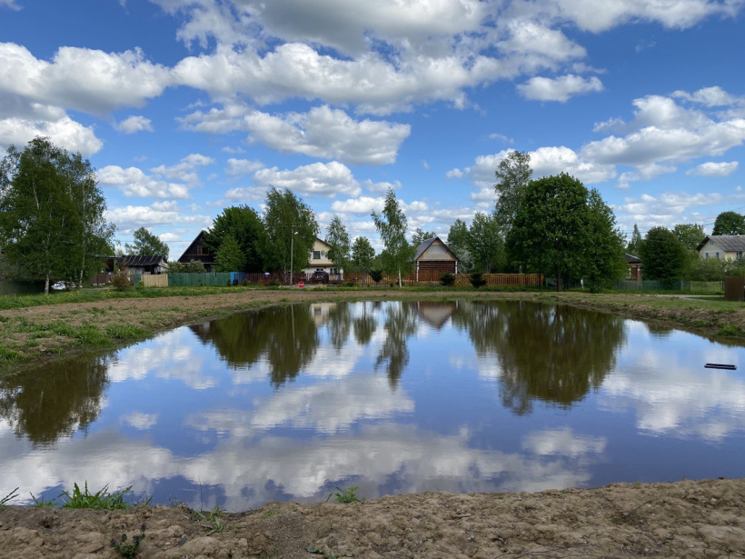 Якшино шаховская. Пруд в деревне. Новоникольский пруд. Пожарный пруд в деревне. Орешки деревня пруды.