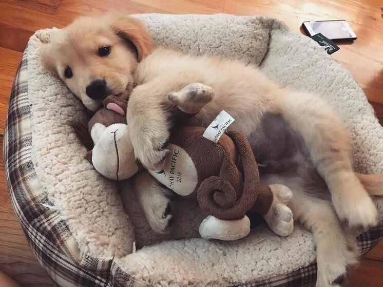 Строгие запреты 17 января: что нельзя делать в день Зосимы Пчельника