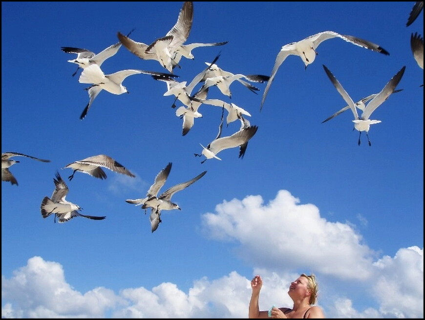 Древность и современность в Канкуне