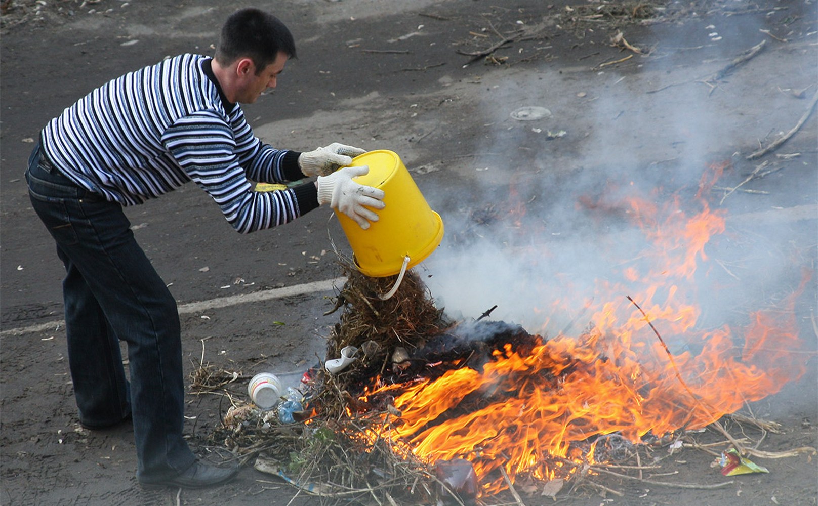 Burned leave