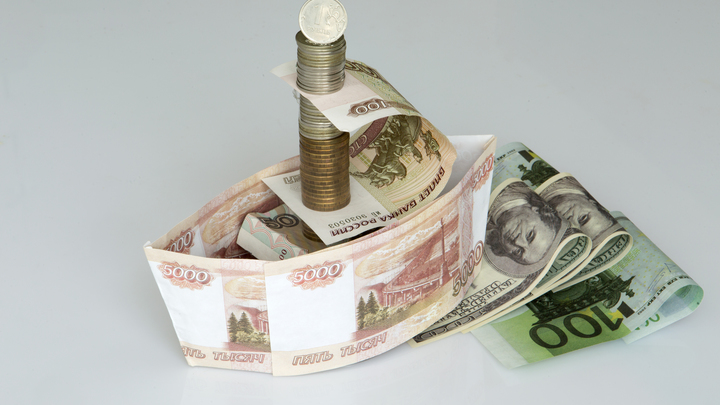 В России хотят создать новую валюту. Но чиновников призвали сначала почитать учебник