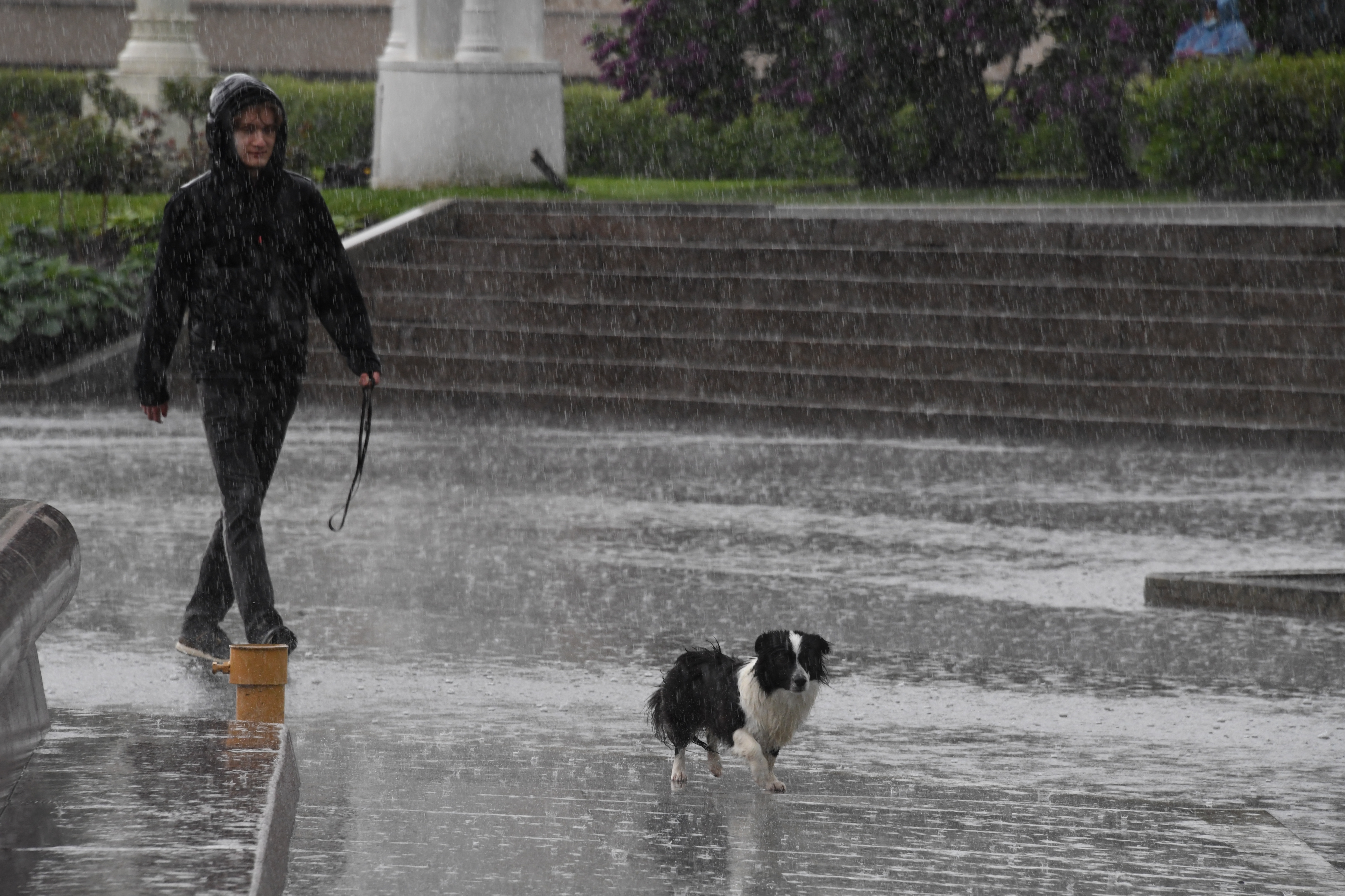 Дождливая осень. Солнечный летний день в городе. Погулять погода. Погулять погода. Сильный ветер и дождь.