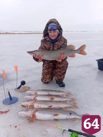 Саратовская рыбачка показала зимние уловы