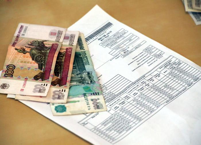 Аудитор Счётной палаты Трунова оценила долю расходов россиян на ЖКХ в 10%
