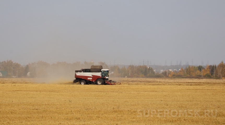 В омском Минсельхозе рассказали о неубранном из-за погоды урожае